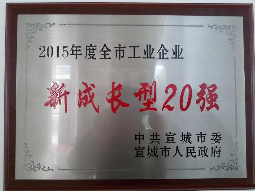 The company was awarded the title of "Top 20 New Growth Industrial Enterprises" in 2015